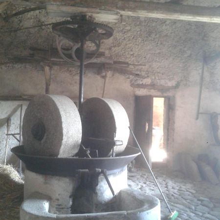 Agriturismo Frantoio Mafrica Limbadi Kültér fotó