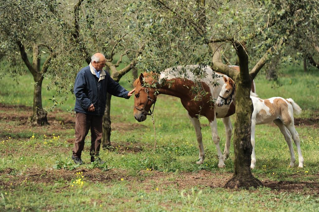 Agriturismo Frantoio Mafrica Limbadi Kültér fotó