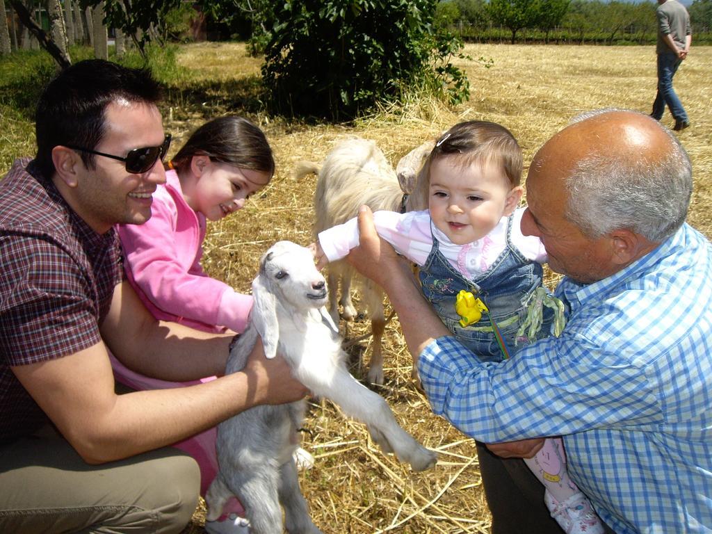 Agriturismo Frantoio Mafrica Limbadi Kültér fotó